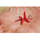 Плавающий искусственный опарыш DRENNAN Buoyant Maggot Bloodworm Red, изображение 2