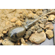 Грузила Korda Pear Swivel, Вес грузила: 4.0oz (113g), изображение 2 Грузила Korda Pear Swivel, Вес грузила: 4.0oz (113g), изображение 2
