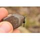 Грузила Korda Square Pear Swivel, Вес грузила: 3.5oz (99g), изображение 4 Грузила Korda Square Pear Swivel, Вес грузила: 3.5oz (99g), изображение 4