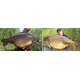 Тонущие бойлы Dynamite Baits Hot Fish & GLM (острая рыба и зеленогубая мидия) 1kg, Диаметр: 15 мм, изображение 4 Тонущие бойлы Dynamite Baits Hot Fish & GLM (острая рыба и зеленогубая мидия) 1kg, Диаметр: 15 мм, изображение 4