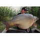 Тонущие бойлы Dynamite Baits Hot Fish & GLM (острая рыба и зеленогубая мидия) 1kg, Диаметр: 15 мм, изображение 5 Тонущие бойлы Dynamite Baits Hot Fish & GLM (острая рыба и зеленогубая мидия) 1kg, Диаметр: 15 мм, изображение 5