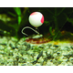Плавающие бойлы Dynamite Baits Two Tone Fluro Strawberry & Сoconut Cream Pop-Ups (клубника и кокосовое молоко), Диаметр: 15 мм, изображение 3 Плавающие бойлы Dynamite Baits Two Tone Fluro Strawberry & Сoconut Cream Pop-Ups (клубника и кокосовое молоко), Диаметр: 15 мм, изображение 3
