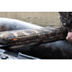 Мягкое сиденье для лодки FOX Camo Boat Seat, изображение 8