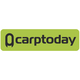 Наклейка Carptoday Green большая для карпфишинга — CARPshop
