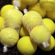 Сетка ПВА AVID CARP Pocket Stick (запаска), изображение 4 Сетка ПВА AVID CARP Pocket Stick (запаска), изображение 4