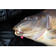 Искусственная плавающая приманка EVOLUTION CARP TACKLE Dumb Bell System RED, изображение 5