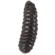 Силиконовые приманки IRON TROUT T-MAGG / 2.0cm / Anise / BL - 25шт. Силиконовые приманки IRON TROUT T-MAGG / 2.0cm / Anise / BL - 25шт.