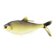 Мягкая приманка 13FISHING B.A.M.F. Shad 8" Gold Retriver для спиннинговой рыбалки — CARPshop