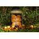 Ликвид Carptoday Baits Tiger Nut Shake — Тигровый Орех Шейк 500 мл, изображение 2 Ликвид Carptoday Baits Tiger Nut Shake — Тигровый Орех Шейк 500 мл, изображение 2