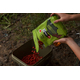 Бойлы Carptoday Baits Strawberry (Клубника) 1кг 14 мм, Диаметр: 14 мм, Вкус: Клубника, изображение 2 Бойлы Carptoday Baits Strawberry (Клубника) 1кг 14 мм, Диаметр: 14 мм, Вкус: Клубника, изображение 2