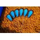 Насадочная игла PRESTON Floater Tools Fine Needle — фото 3 — CARPshop