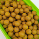 Бойлы варёные прикормочные Fishing Band Sweet Corn Сладкая Кукуруза 20 мм — фото 2 — CARPshop