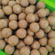 Бойлы варёные прикормочные 20 мм Tiger Nut 2 кг — фото 2 — CARPshop