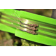 Набор для зиг-риг Korda Ready Zigs Barbless, Длина: 12 ft (3,66 м), Размер крючка: № 10, изображение 4 Набор для зиг-риг Korda Ready Zigs Barbless, Длина: 12 ft (3,66 м), Размер крючка: № 10, изображение 4