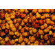 Крупные тигровые орехи Dynamite Baits Frenzied Monster Tiger Nuts, Объём: 2,5 литра, изображение 2 Крупные тигровые орехи Dynamite Baits Frenzied Monster Tiger Nuts, Объём: 2,5 литра, изображение 2