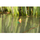 Леска Korda Kruiser Control, Тест: 6.00 lb, изображение 4 Леска Korda Kruiser Control, Тест: 6.00 lb, изображение 4
