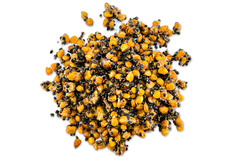 Зерновая смесь MIX №1 Carptoday Baits 1кг (Кукуруза, Конопля)