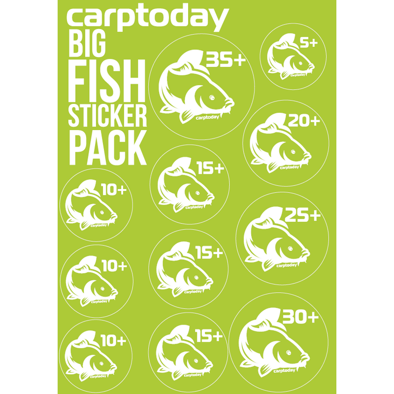Набор наклеек Carptoday Big Fish Sticker Pack